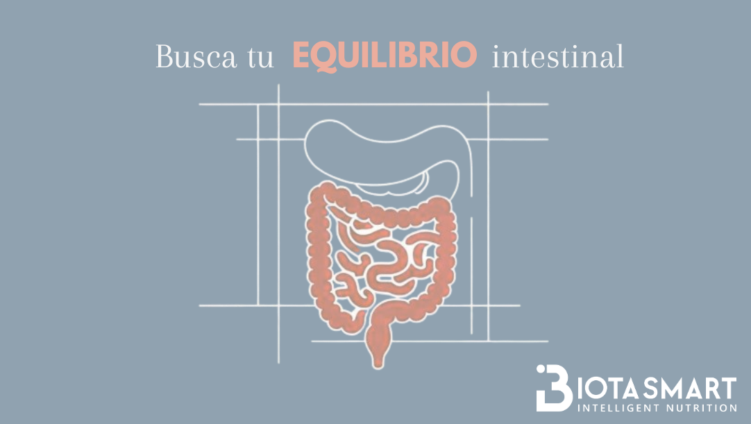 Prebiótico, probiótico: qué son, beneficios y alimentos