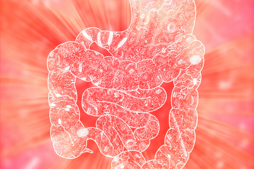 Cómo mantener una microbiota intestinal saludable