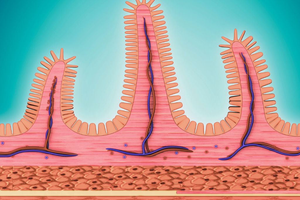 Eubiosis y disbiosis