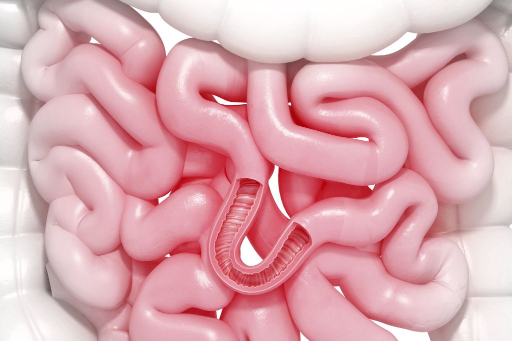 inflamación crónica por microbiota