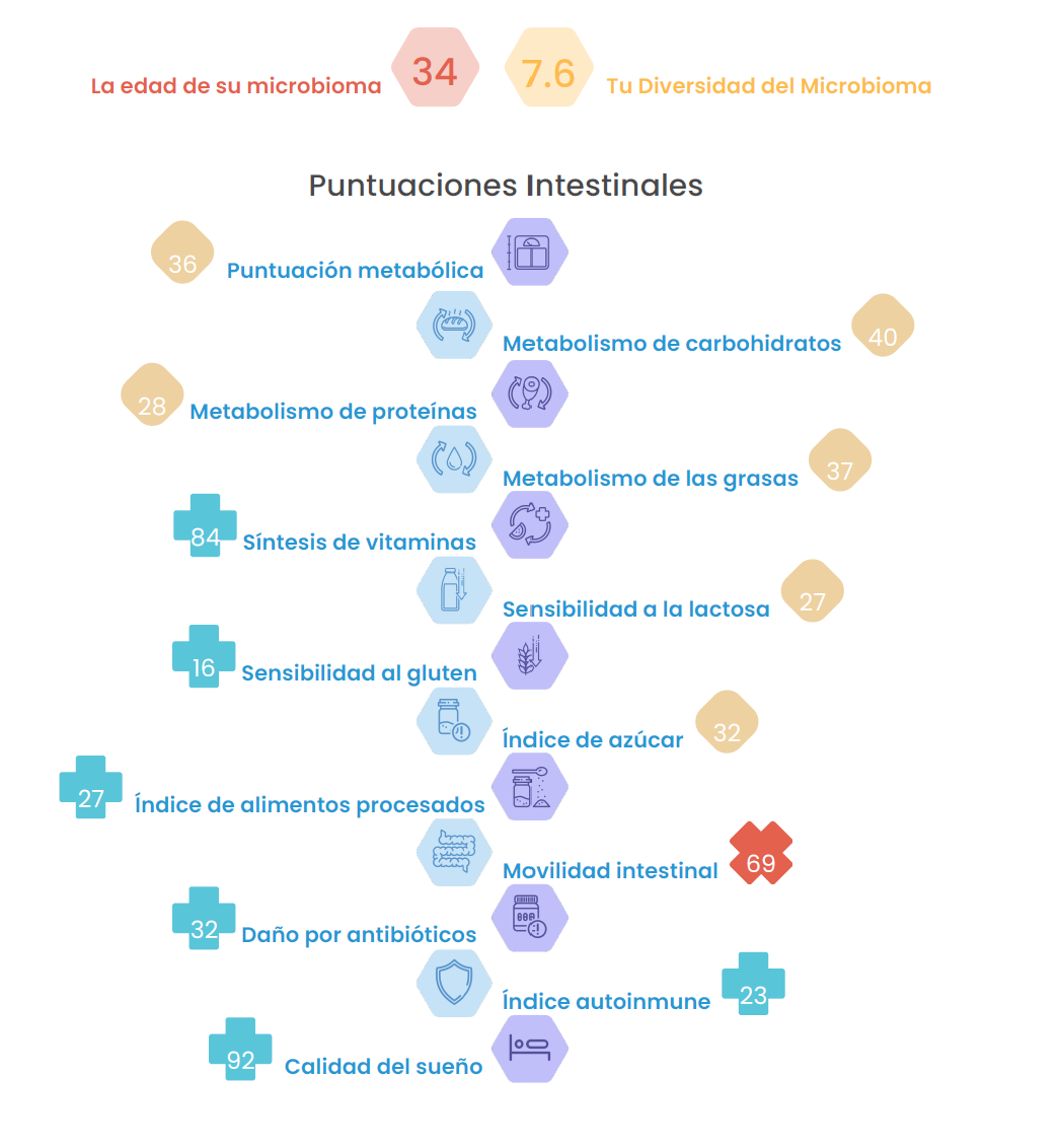 Test de Microbiota Intestinal Esencial